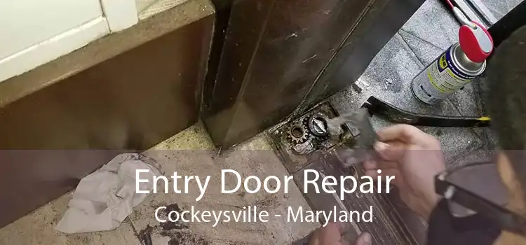 Entry Door Repair Cockeysville - Maryland