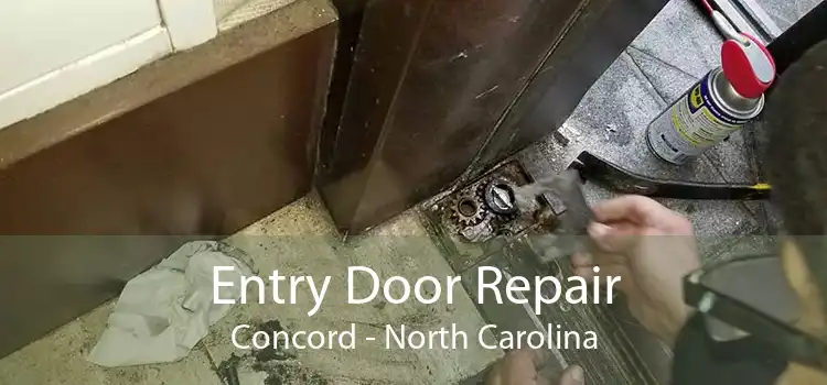 Entry Door Repair Concord - North Carolina