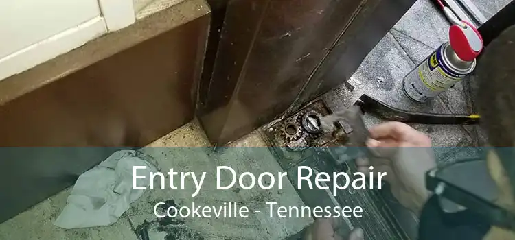 Entry Door Repair Cookeville - Tennessee