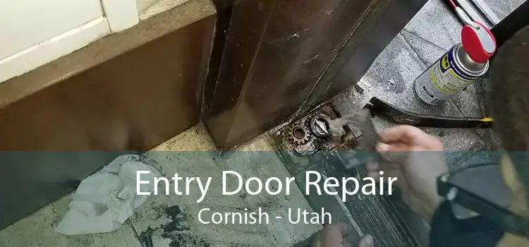 Entry Door Repair Cornish - Utah
