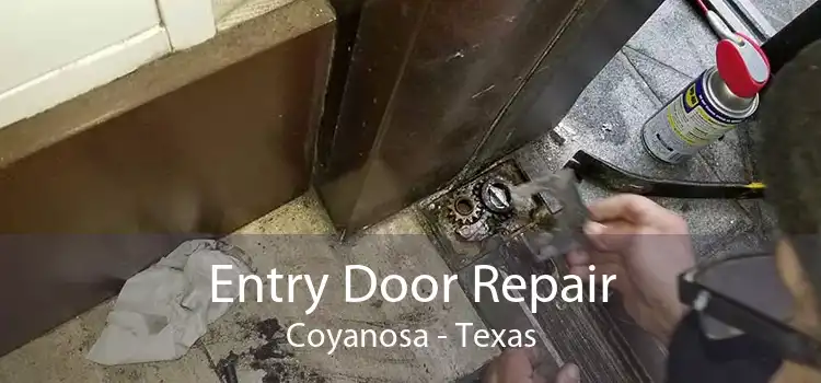 Entry Door Repair Coyanosa - Texas