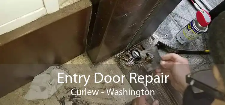 Entry Door Repair Curlew - Washington