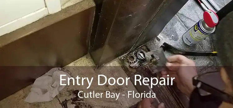 Entry Door Repair Cutler Bay - Florida