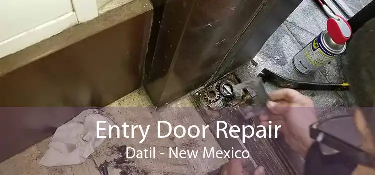 Entry Door Repair Datil - New Mexico