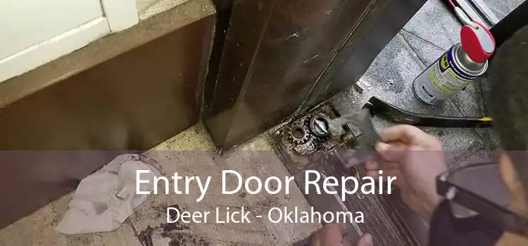 Entry Door Repair Deer Lick - Oklahoma