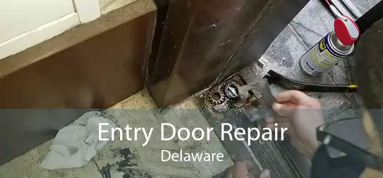 Entry Door Repair Delaware