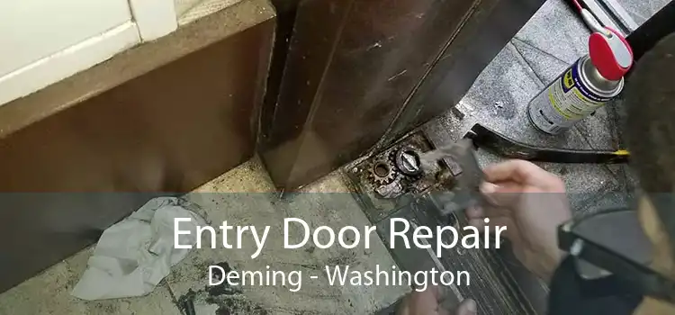 Entry Door Repair Deming - Washington
