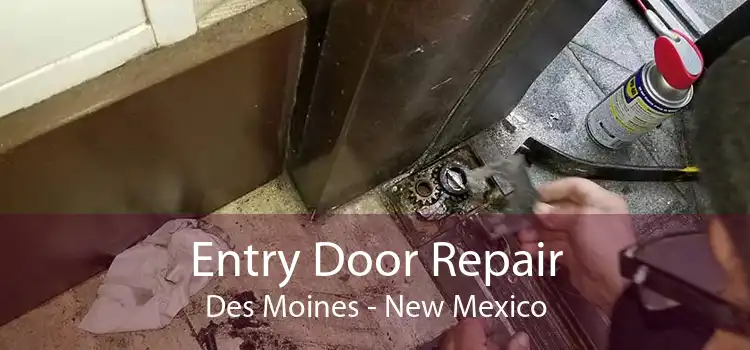 Entry Door Repair Des Moines - New Mexico