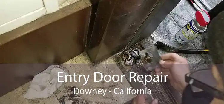 Entry Door Repair Downey - California