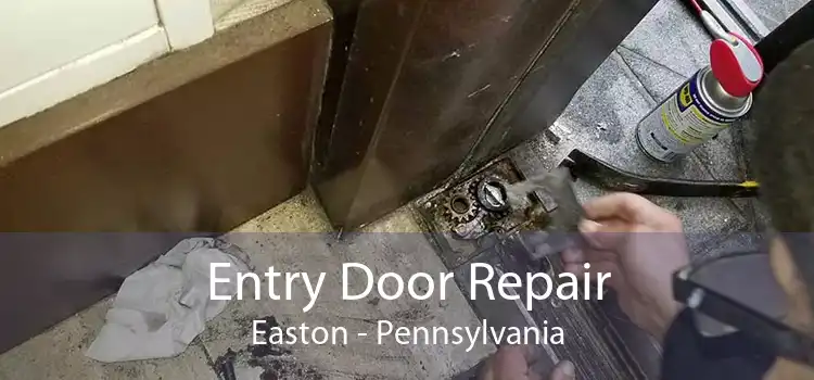 Entry Door Repair Easton - Pennsylvania