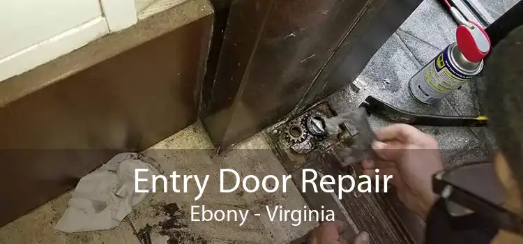 Entry Door Repair Ebony - Virginia