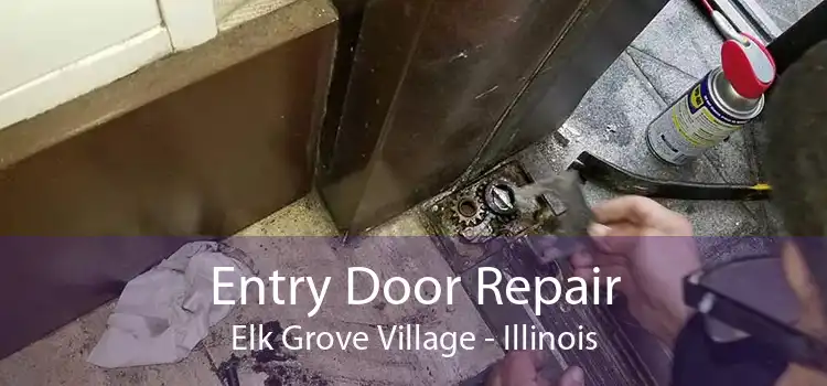 Entry Door Repair Elk Grove Village - Illinois