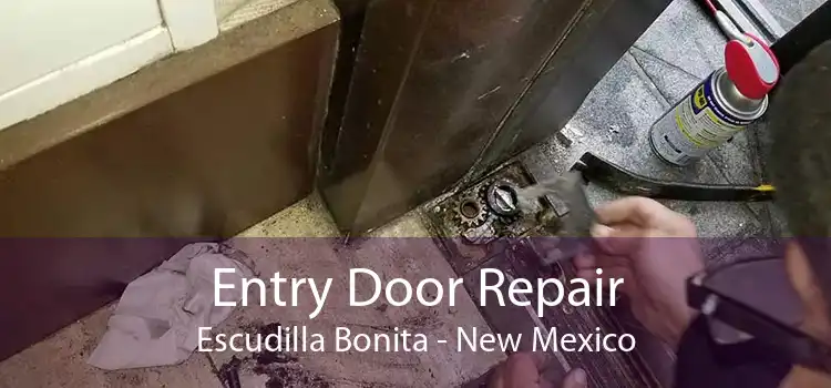 Entry Door Repair Escudilla Bonita - New Mexico