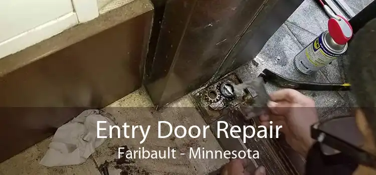 Entry Door Repair Faribault - Minnesota