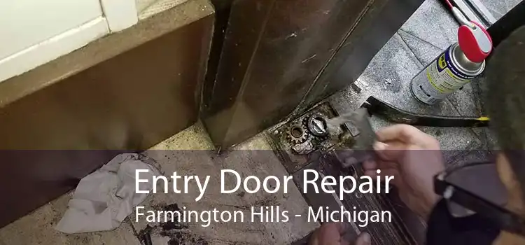 Entry Door Repair Farmington Hills - Michigan