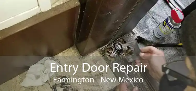 Entry Door Repair Farmington - New Mexico