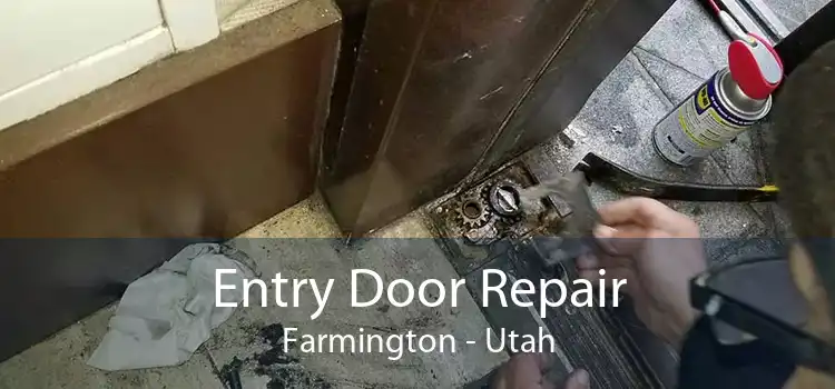 Entry Door Repair Farmington - Utah