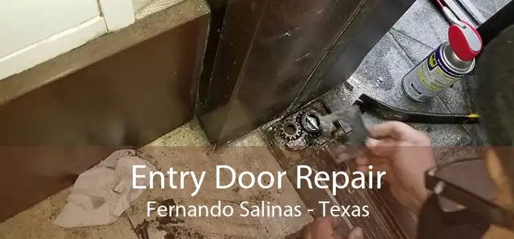 Entry Door Repair Fernando Salinas - Texas