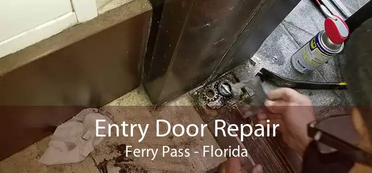 Entry Door Repair Ferry Pass - Florida
