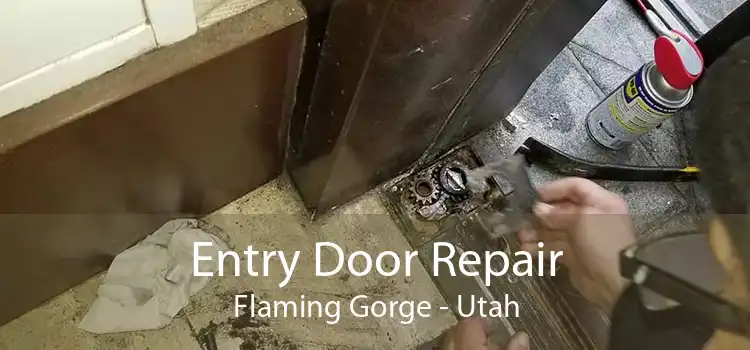 Entry Door Repair Flaming Gorge - Utah