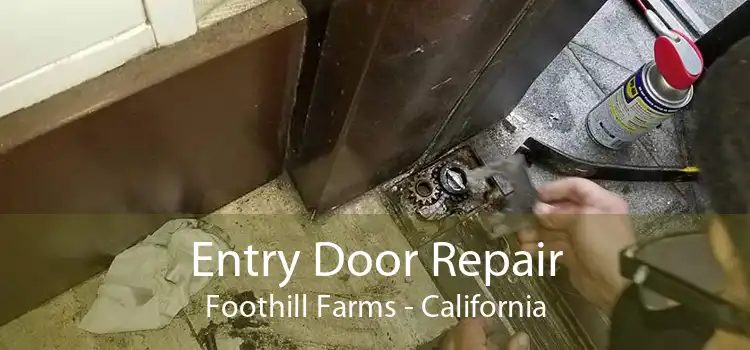 Entry Door Repair Foothill Farms - California