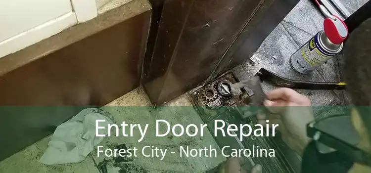 Entry Door Repair Forest City - North Carolina