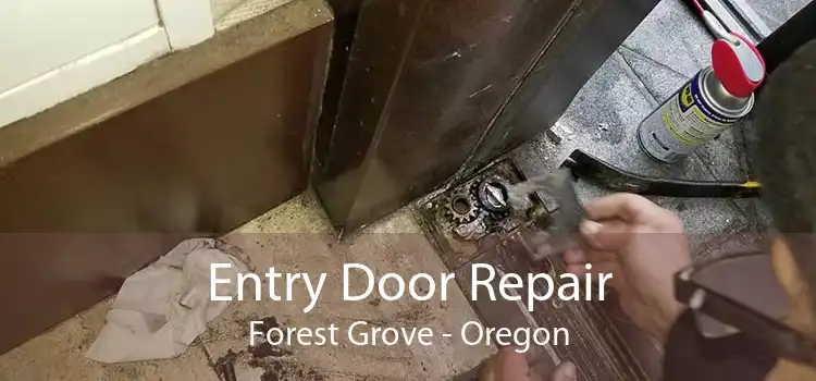 Entry Door Repair Forest Grove - Oregon