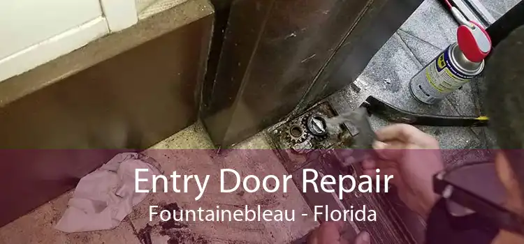 Entry Door Repair Fountainebleau - Florida