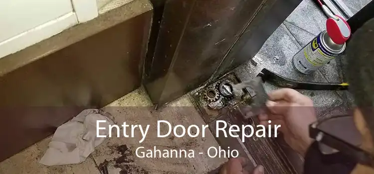 Entry Door Repair Gahanna - Ohio