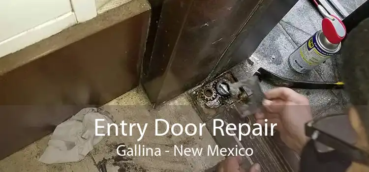 Entry Door Repair Gallina - New Mexico