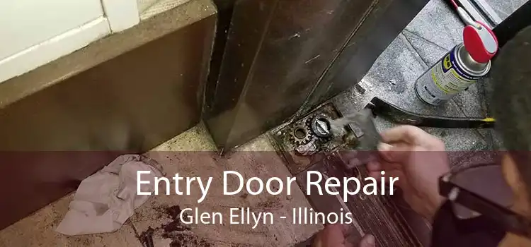 Entry Door Repair Glen Ellyn - Illinois