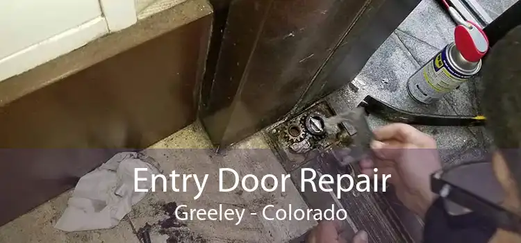 Entry Door Repair Greeley - Colorado