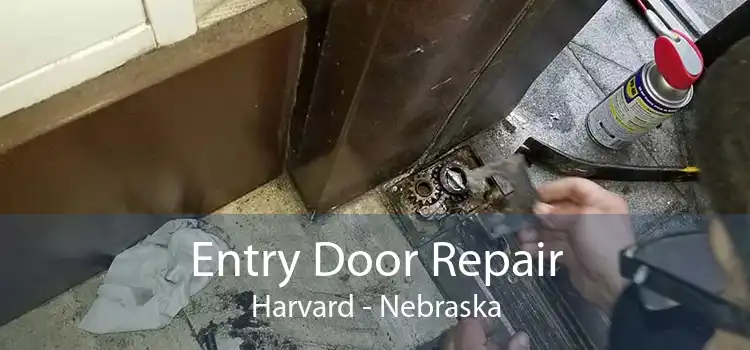 Entry Door Repair Harvard - Nebraska