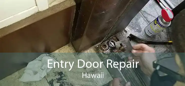 Entry Door Repair Hawaii