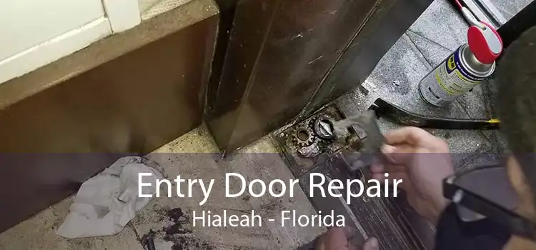 Entry Door Repair Hialeah - Florida