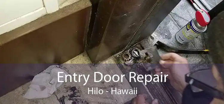 Entry Door Repair Hilo - Hawaii