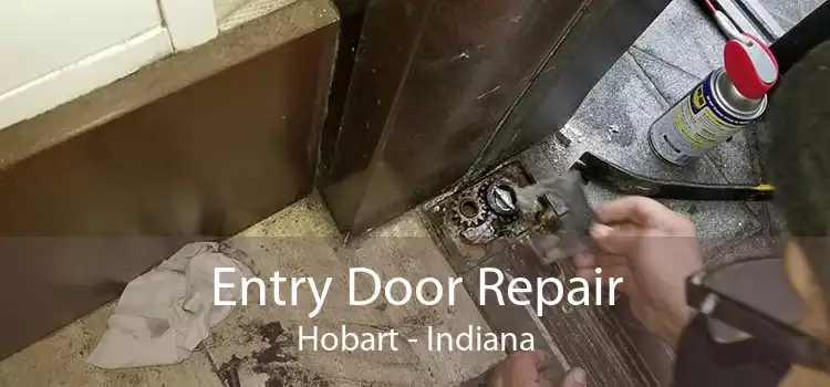 Entry Door Repair Hobart - Indiana