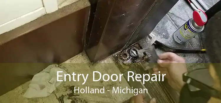 Entry Door Repair Holland - Michigan