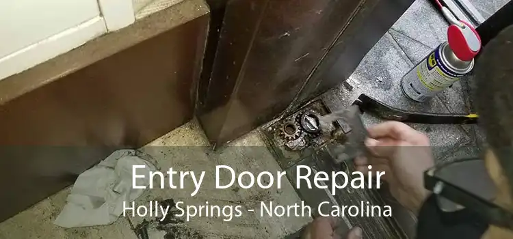 Entry Door Repair Holly Springs - North Carolina
