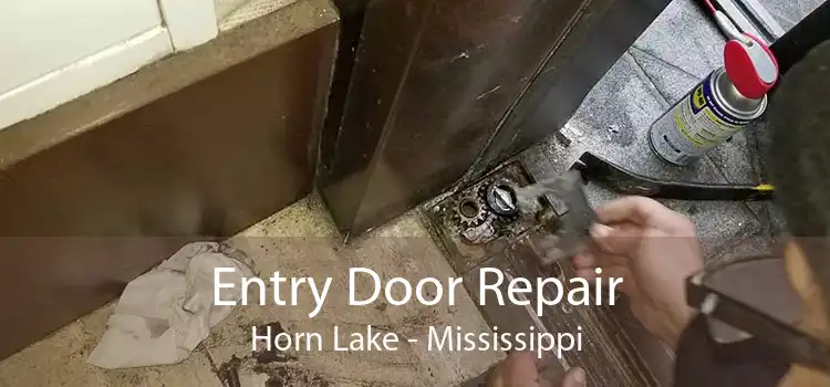 Entry Door Repair Horn Lake - Mississippi