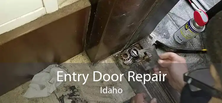 Entry Door Repair Idaho