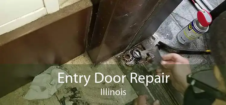 Entry Door Repair Illinois
