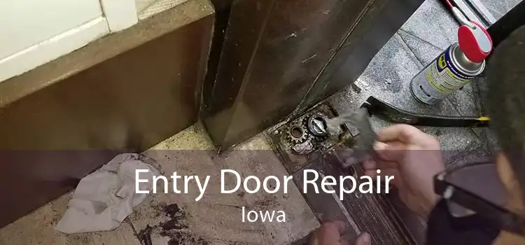 Entry Door Repair Iowa