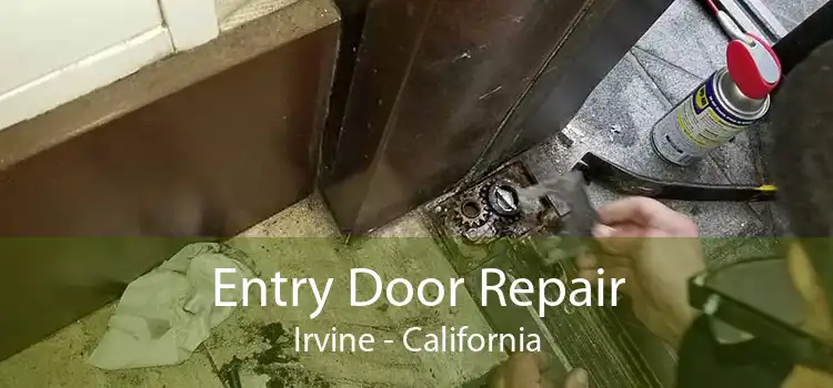 Entry Door Repair Irvine - California