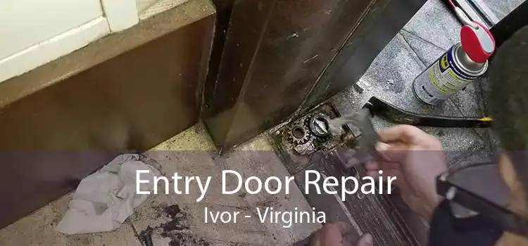 Entry Door Repair Ivor - Virginia