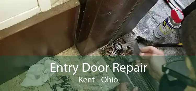 Entry Door Repair Kent - Ohio