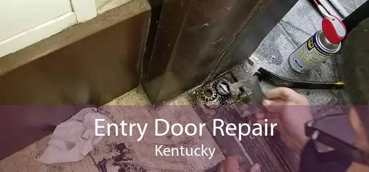 Entry Door Repair Kentucky