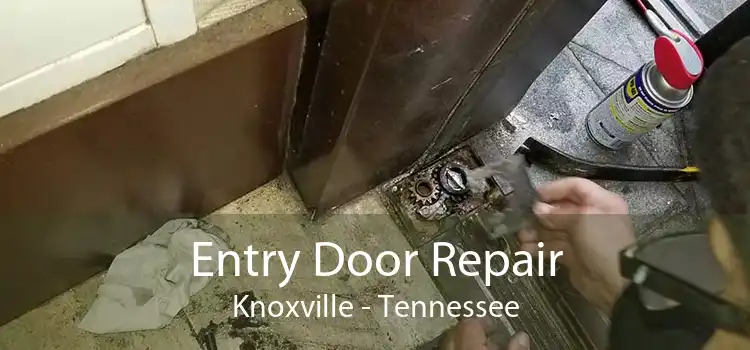 Entry Door Repair Knoxville - Tennessee