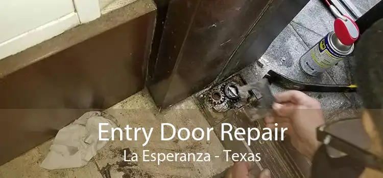 Entry Door Repair La Esperanza - Texas