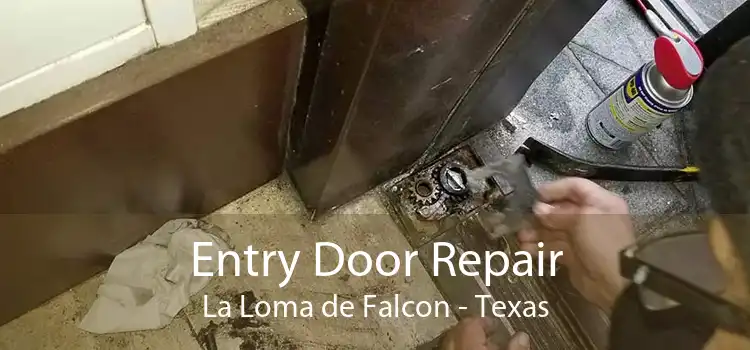 Entry Door Repair La Loma de Falcon - Texas